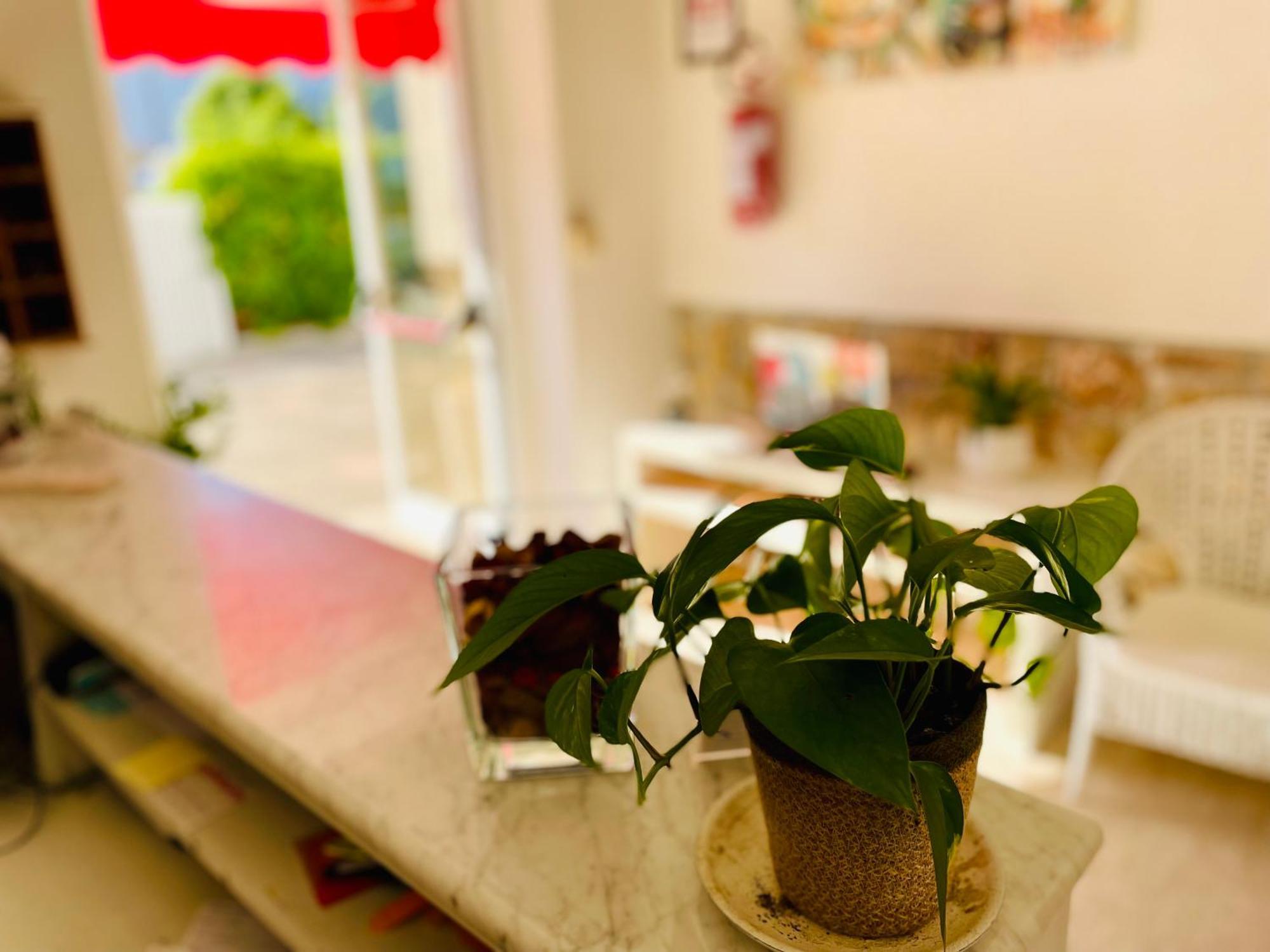 Minturnae Hotel スカウリ エクステリア 写真